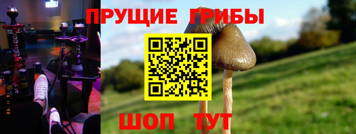 Псилоцибиновые грибы MAGIC MUSHROOMS  Вход с VPN  Луховицы 
